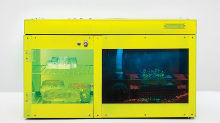 Glowing rock-like forms, some of them translucent, in a yellow lab-like box.