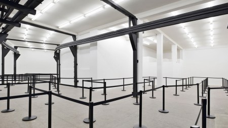 Puppies Puppies T293, Rome