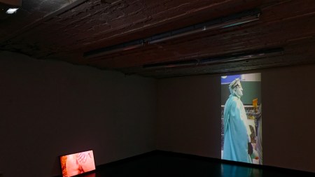 Puppies Puppies and Friends Galerie Balice Hertling, Paris