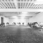 A Giant German Photography Survey Reinvigorates the Medium