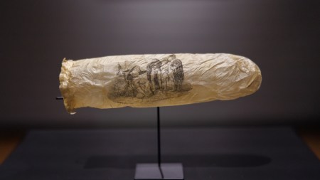 An image of a condom in a museum.