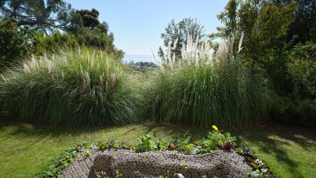 A rectangular woven cloth is laid over a bed of flowers and looks as if a human figure were lying under it.