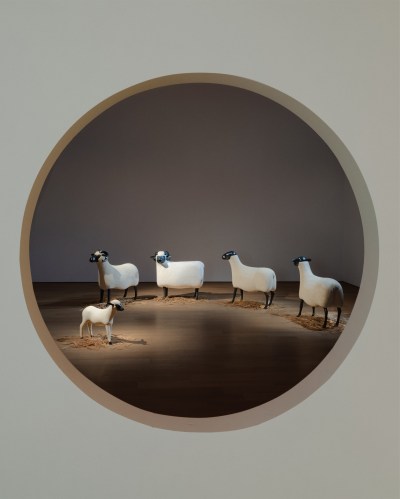 A sculptural installation consisting of four adult sheep and one baby sheep who land over piles of straw. 