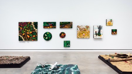 Photograph by MARCO ANELLI/TOMMASO SACCONI ©