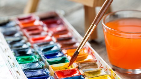 Set of watercolor paints and paintbrushes for painting closeup. Selective focus.