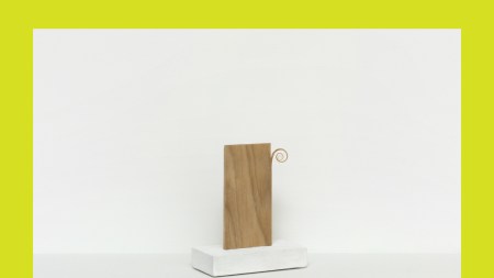 A small piece of wood with a curly edge whittled into a spiral.