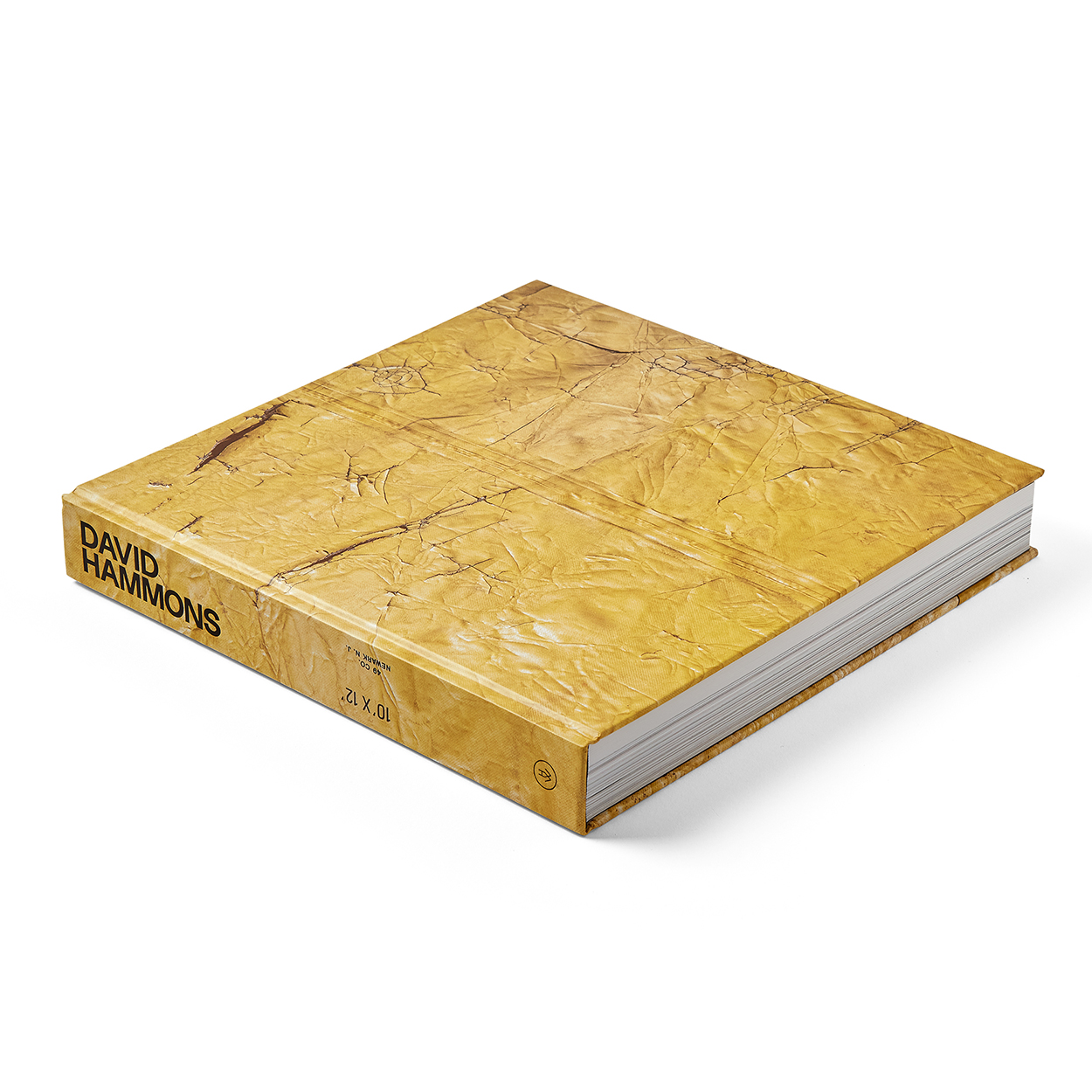 A thick book that appears to be made of cardboard with DAVID HAMMONS on the spine.