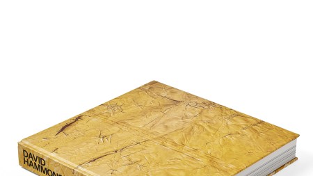 A thick book that appears to be made of cardboard with DAVID HAMMONS on the spine.