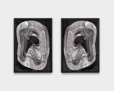 A symmetrical pair of wooden forms that resemble ears, with sinuous canals and a central identation.