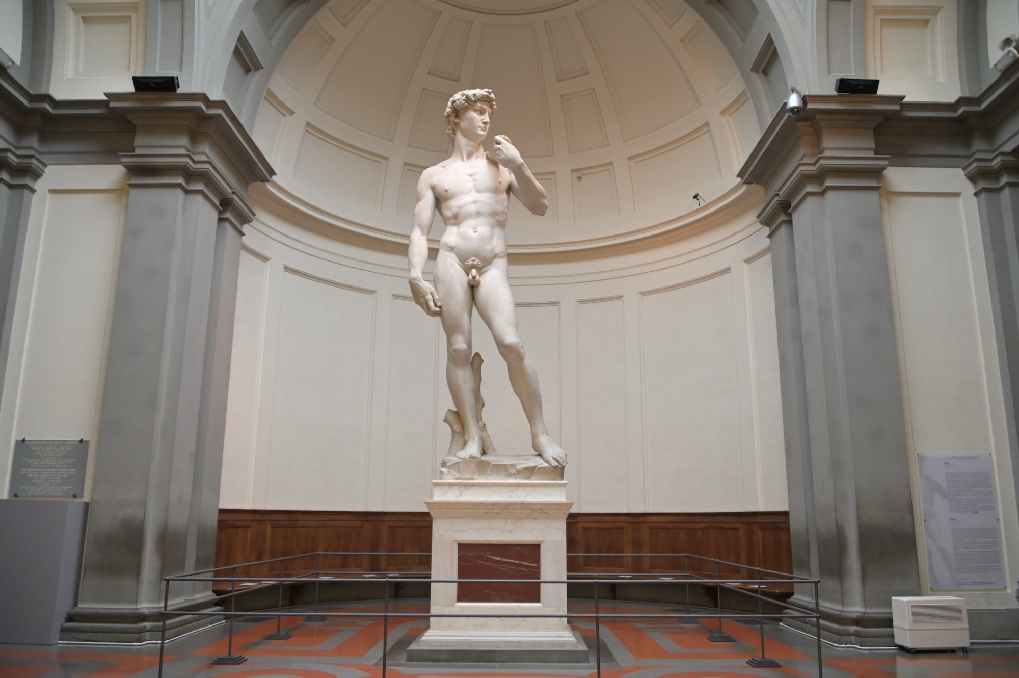 Michelangelo, David, 1501–1504, Galleria dell'Accademia, Florence, Italy