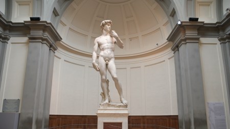 Michelangelo, David, 1501–1504, Galleria dell'Accademia, Florence, Italy