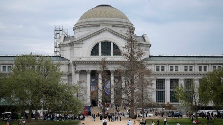 People standing before a tall, classically styled museum building with columns.