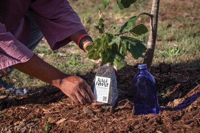 A close up shows a pair of Black hands installing a rock at the base of a tree. The rock reads "black forest" and features a QR code.