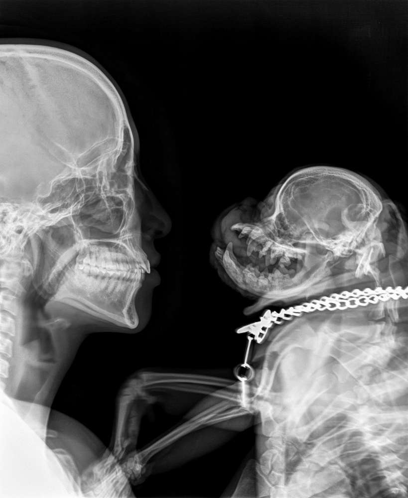 ‘I Don't Admire Good Manners’: Photographer Heji Shin on Shooting Kanye West, X-Rays, and Power