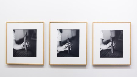 Systems of Associations: Soft Matter Wallspace Gallery