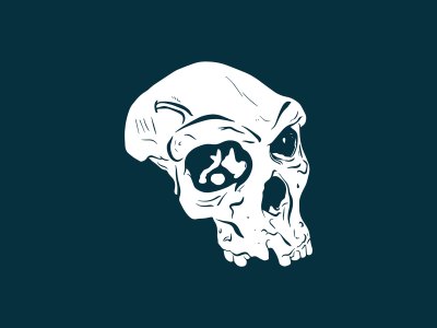 An illustration of a part of a human skull on a navy background.