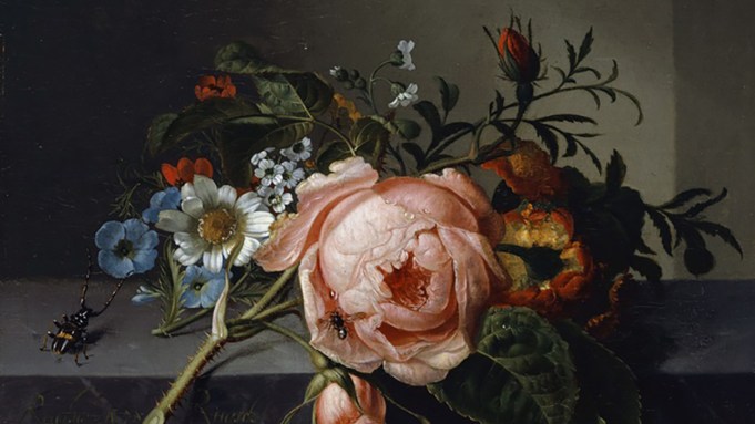 A painting of a few flowers on a stone ledge, with a giant-seeming beetle and large pink rose in the center.