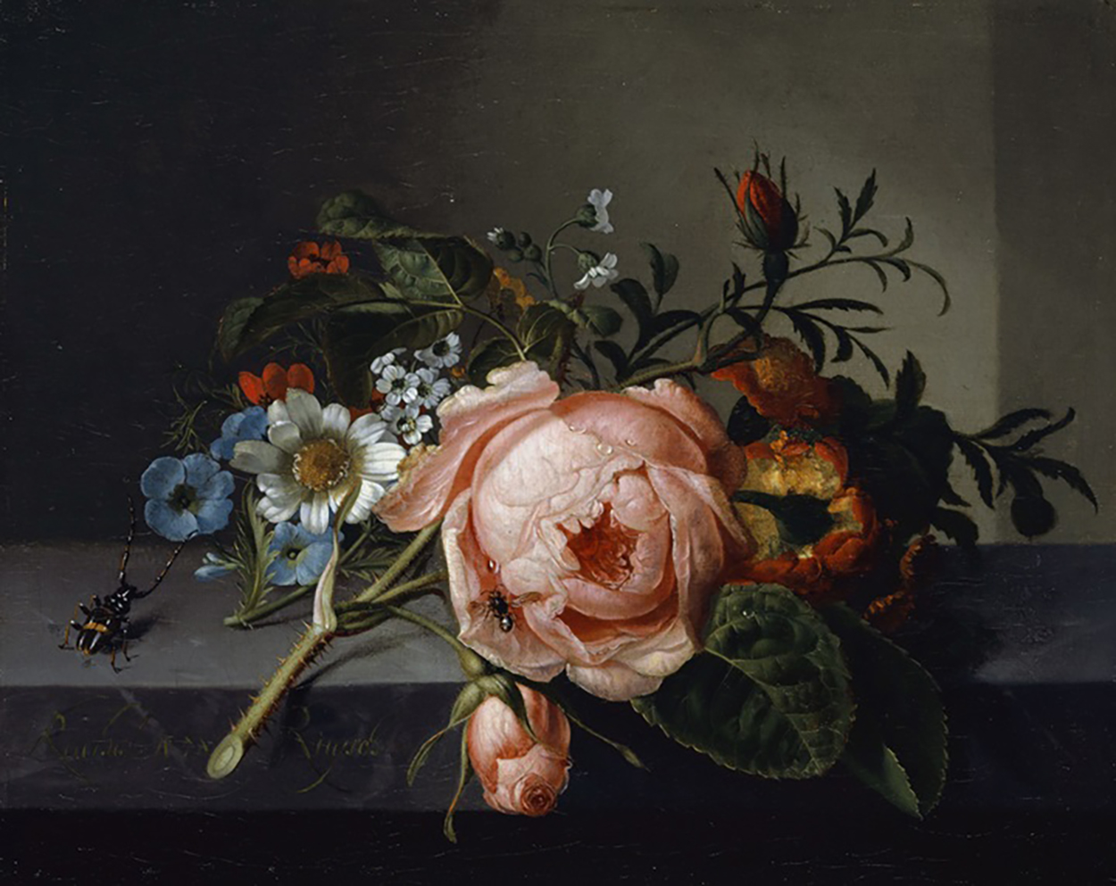 A painting of a few flowers on a stone ledge, with a giant-seeming beetle and large pink rose in the center.