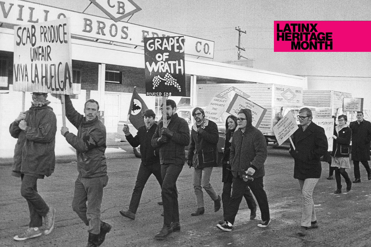 An archival photograph of a protest with people holding signs like 'Grapes of Wrath' and the iconic UFW flag. 