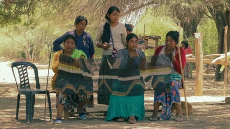 A group of women, some seated and other standing, producing a weaving in a forest.