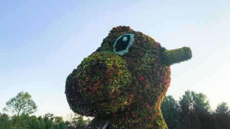 POTOMAC, MD - JULY 10, 2017: Jeff Koonss sculpture Split-Rocker at Glenstone is composed of tens of thousands of flowering plants. This side is the dinosaur side, which is made up of magenta, orange, and yellow flowers. (Photo by Jennifer Heffner for The Washington Post via Getty Images)