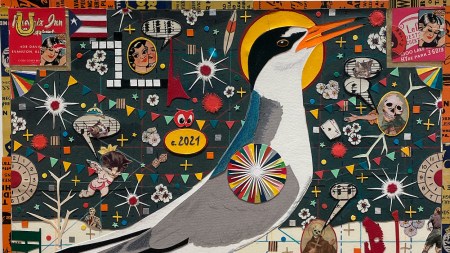A tern is prominently depicted in the center of a multimedia collage that also includes fragments of crossword puzzles, small symbols, skulls, and postwar-style illustrations, with the caption "Chicago / Humboldt Park."